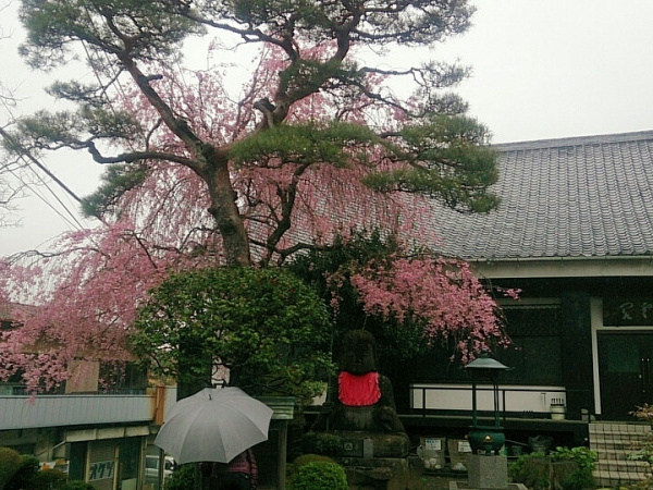 正眼寺