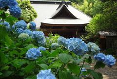 阿弥陀寺