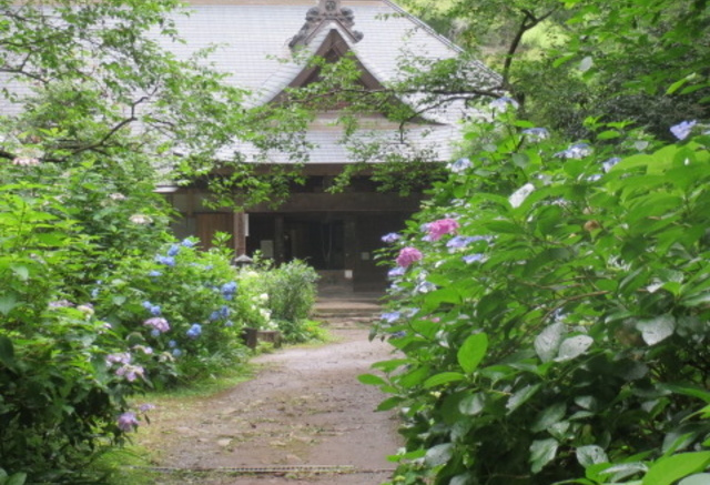 阿弥陀寺