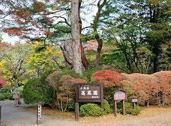 箱根小涌園 蓬莱園