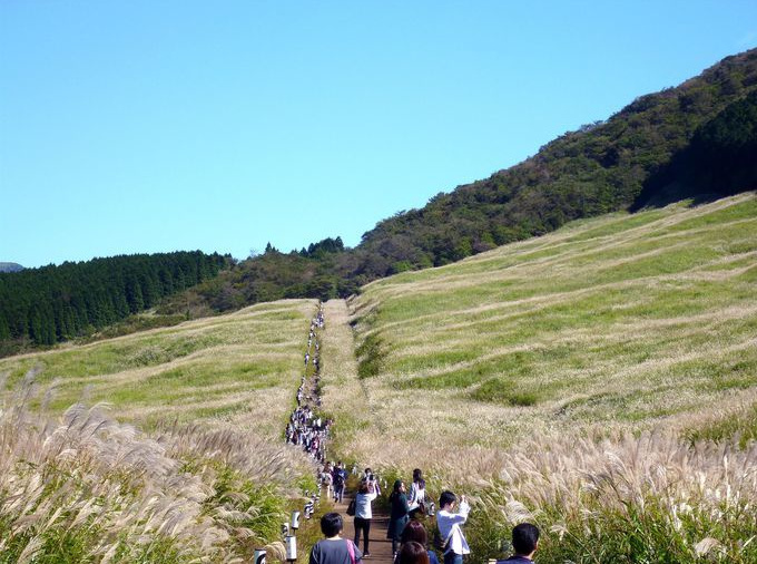 仙石原ススキ草原 箱根 仙石原周辺 アクセス情報 施設情報 格安宿泊情報 往復交通 宿泊セットプラン 仙石原ススキ草原 箱根 仙石原周辺 アクセス情報 施設情報 格安宿泊情報 往復交通 宿泊セットプラン