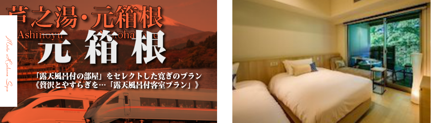 【新宿･首都圏発】元箱根温泉へ小田急ロマンスカーで行く格安ツアー