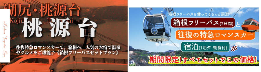 【新宿･首都圏発】桃源台へ小田急ロマンスカーで行く格安ツアー