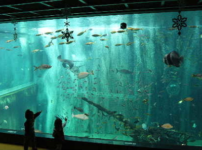 箱根園水族館