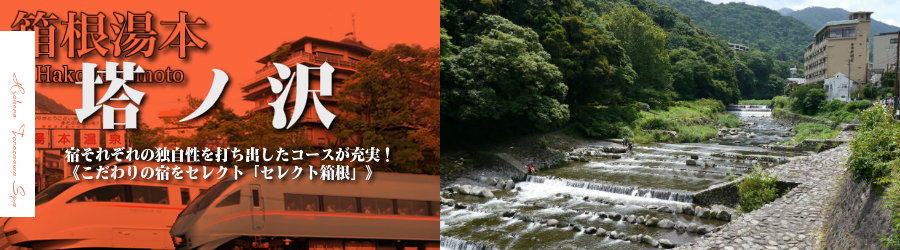 【新宿･首都圏発】箱根湯本温泉へ小田急ロマンスカーで行く格安ツアー
