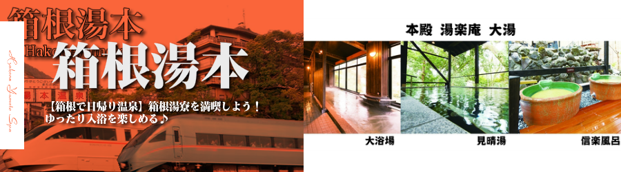 【新宿･首都圏発】箱根湯本温泉へ小田急ロマンスカーで行く格安ツアー