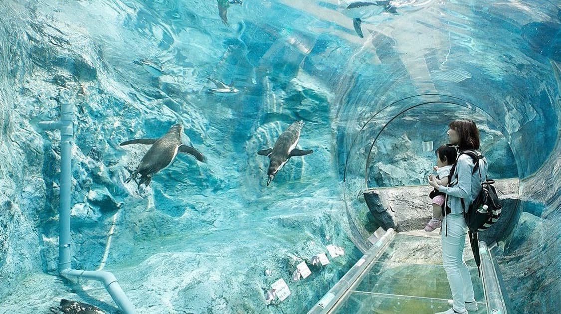 旭山動物園