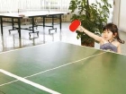 ホテル大野屋：卓球（無料）