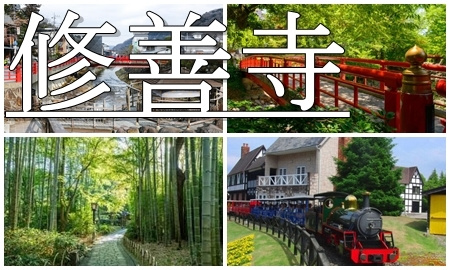 修善寺温泉へ行くJR＋宿泊セットの格安パックツアー