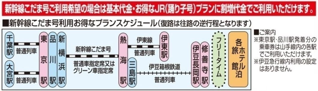 伊豆エリア:スケジュール