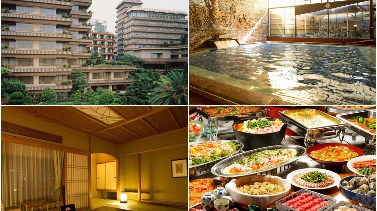 熱海へJR特急で行く格安ツアー｜限定列車で行く伊豆