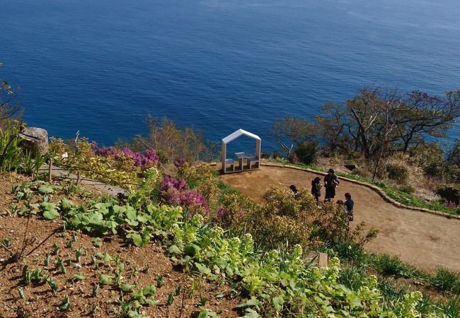 アカオハーブ ローズガーデン 伊豆 熱海周辺 アクセス情報 施設情報 格安宿泊情報 往復jr 宿泊セットプラン