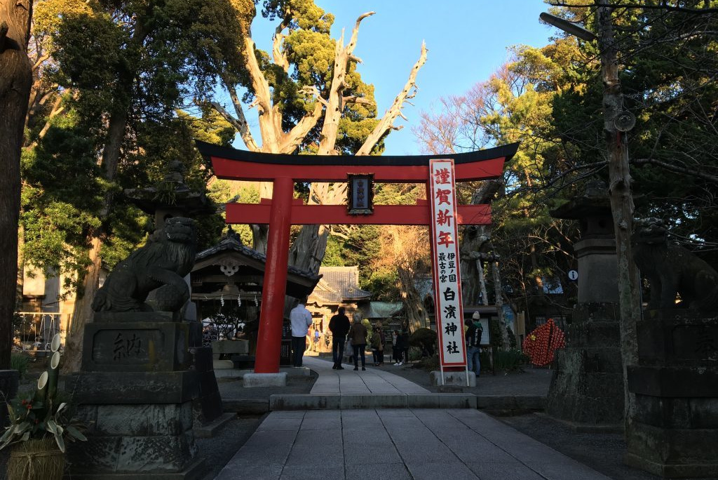 白浜神社(伊古奈比め命神社)