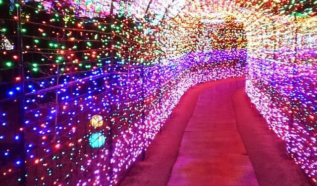 伊豆高原 城ヶ崎 富戸の人気観光スポット情報と格安宿泊プラン Jr 宿泊セットの格安パックツアー 伊豆高原 城ヶ崎 富戸の人気観光スポット情報と格安宿泊プラン Jr 宿泊セットの格安パックツアー