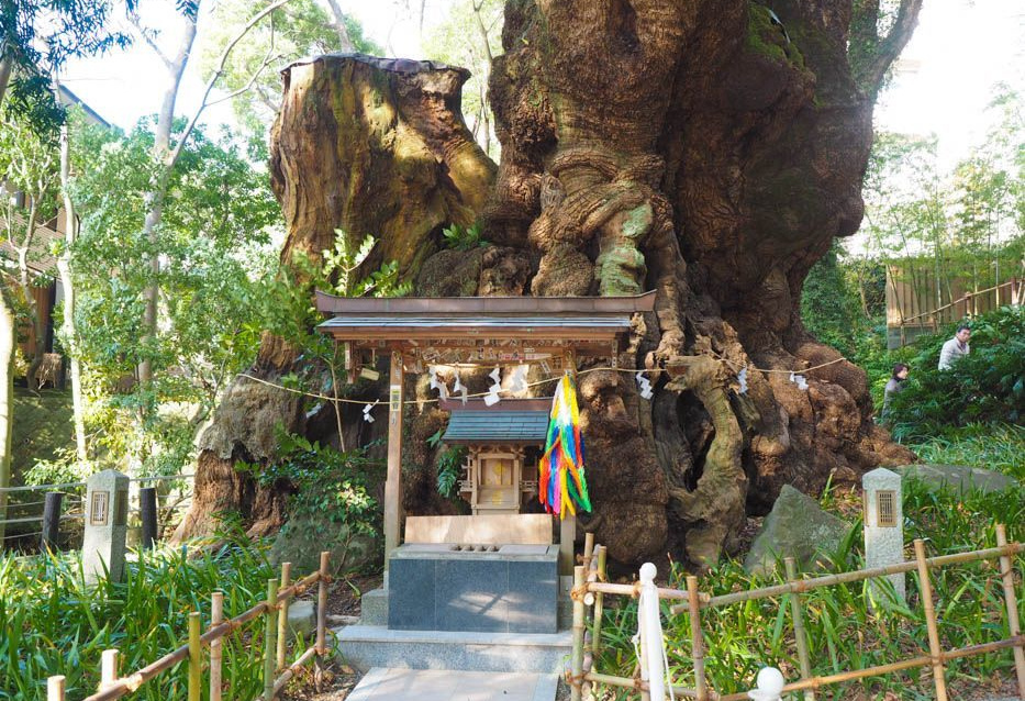 来宮神社