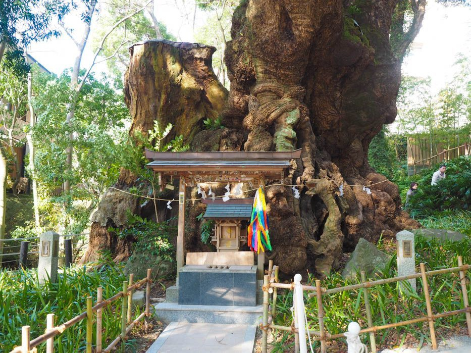 来宮神社