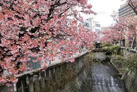糸川遊歩道