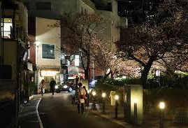 糸川遊歩道