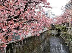 糸川遊歩道