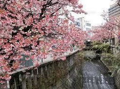 糸川遊歩道