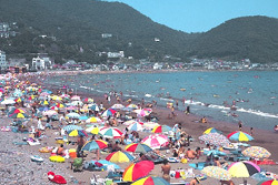 宇佐美海水浴場