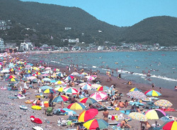 宇佐美海水浴場