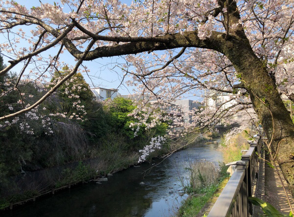 松川遊歩道