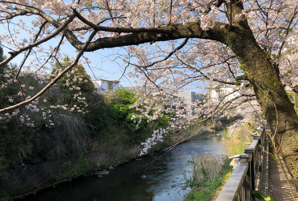 松川遊歩道