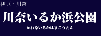 川奈いるか浜公園
