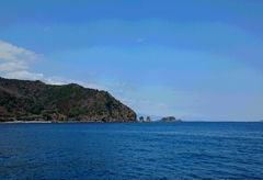 川奈いるか浜公園