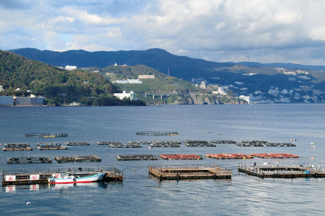 海上釣り堀太公望
