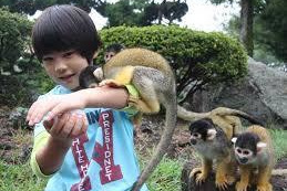 伊豆シャボテン動物公園