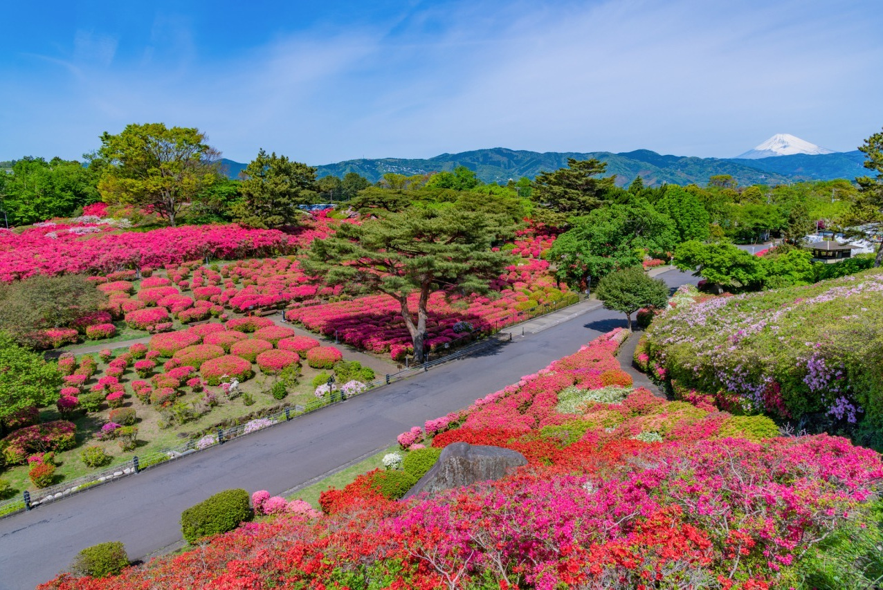 小室山公園