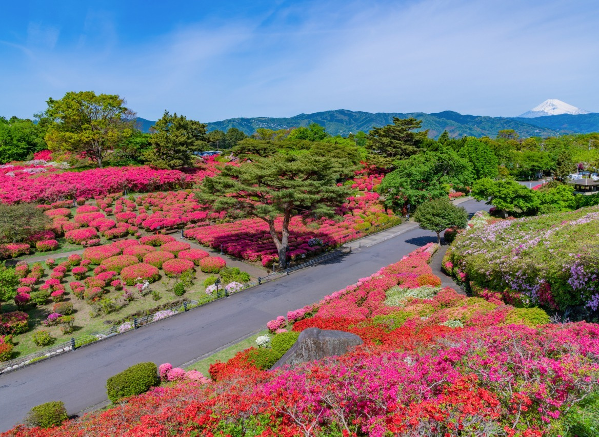 小室山公園