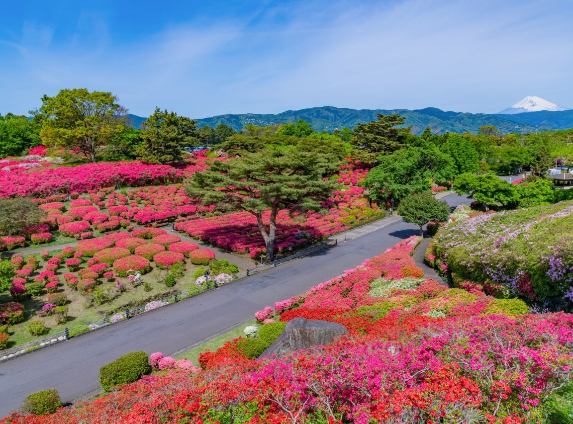 小室山公園