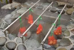 熱川湯の華ぱぁーく