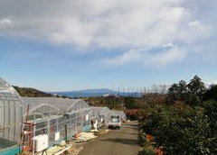 樋の口園