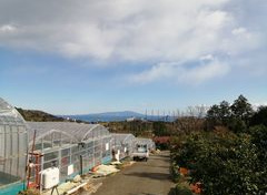樋の口園