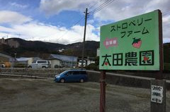 ストロベリーファーム 太田農園