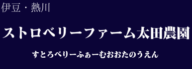 ストロベリーファーム 太田農園