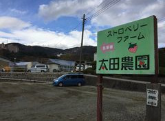 ストロベリーファーム 太田農園