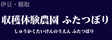 収穫体験農園 ふたつぼり