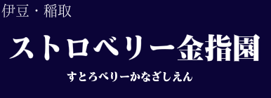 ストロベリー金指園
