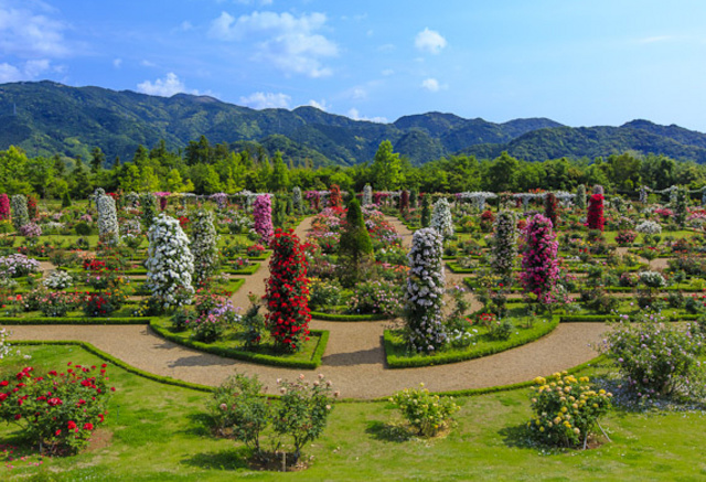 河津バガテル公園