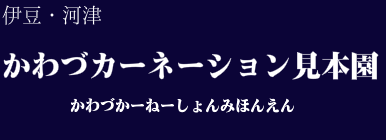 かわづカーネーション見本園