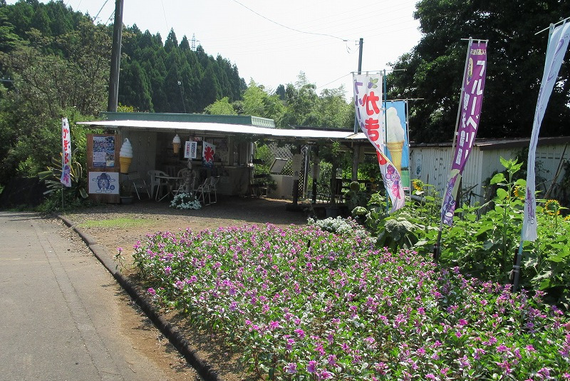 河津ブルーベリーの里