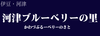 河津ブルーベリーの里