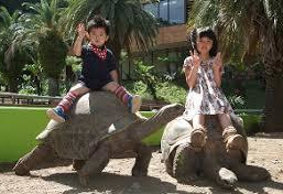 体感型動物園iZoo(イズー)