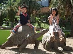 体感型動物園iZoo(イズー)