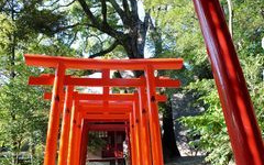 川津来宮神社(杉桙別命神社)